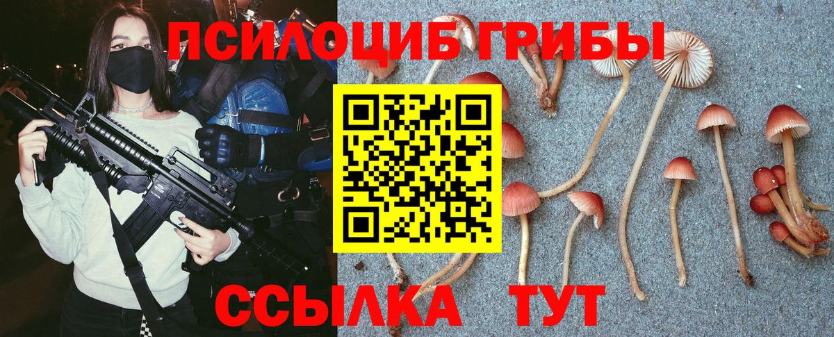 Галлюциногенные грибы MAGIC MUSHROOMS Нальчик