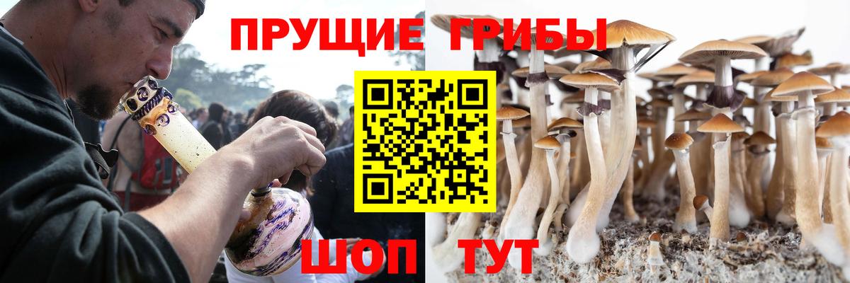 Галлюциногенные грибы MAGIC MUSHROOMS  Вход с VPN  Нальчик 